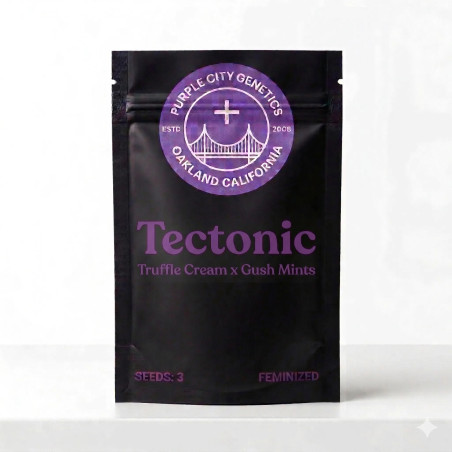 Tectonic