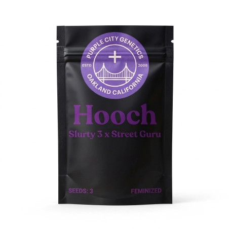 Hooch