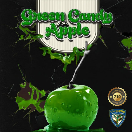 Green Candy Apple