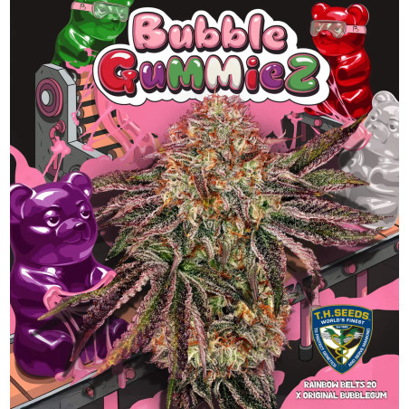 BubbleGummieZ