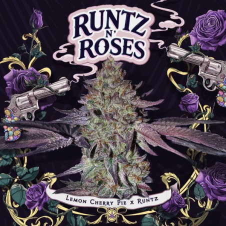 Runtz 'N Roses