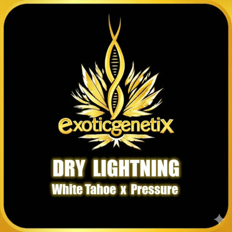 Dry Lightning