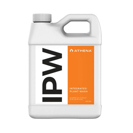 IPW Athena