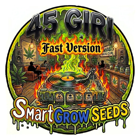 45 Giri (Fast Version)