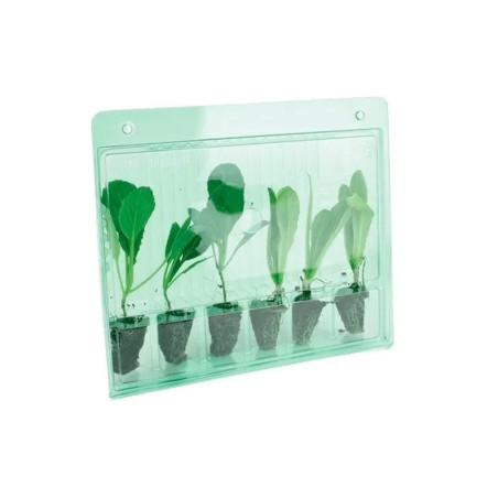 Porta Esquejes VDL (6 plantas)