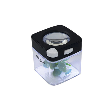 Bote Smokus Focus Comet