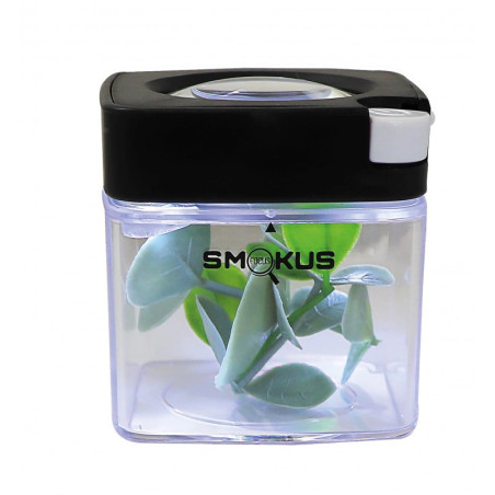 Bote Smokus Focus Comet