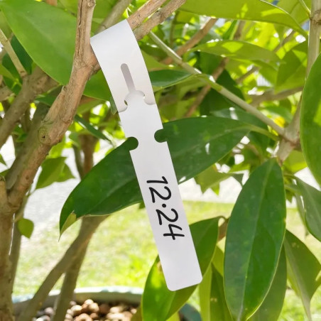 Etiqueta collarín para plantas