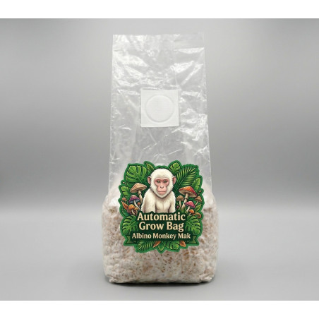 Automatic Grow Bag Albino Monkey Mak