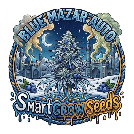 Blue Mazar Auto
