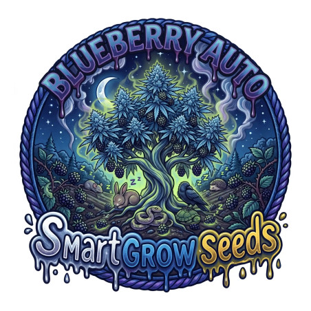 Blueberry Auto