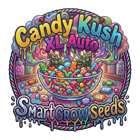 Candy Kush XL Auto