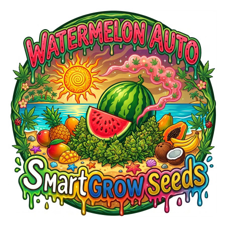 Watermelon Auto