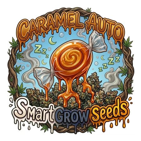 Caramel Auto