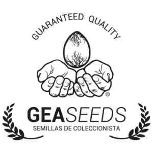 GEA Seeds